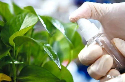 紅外光控釋農藥研發取得重要進展，生物農藥技術迎來新突破